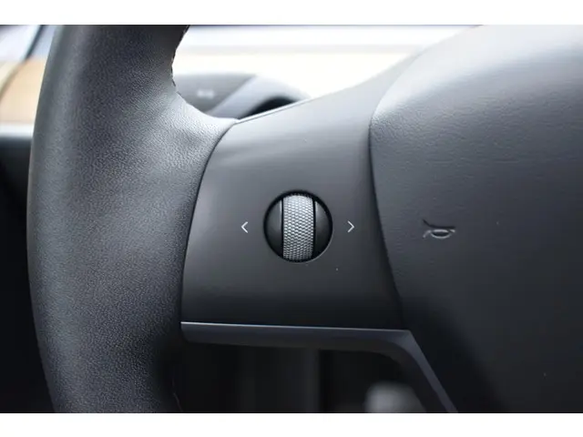 Tesla Model Y Long Range AWD 75 kWh 2021 Elektrisch 21