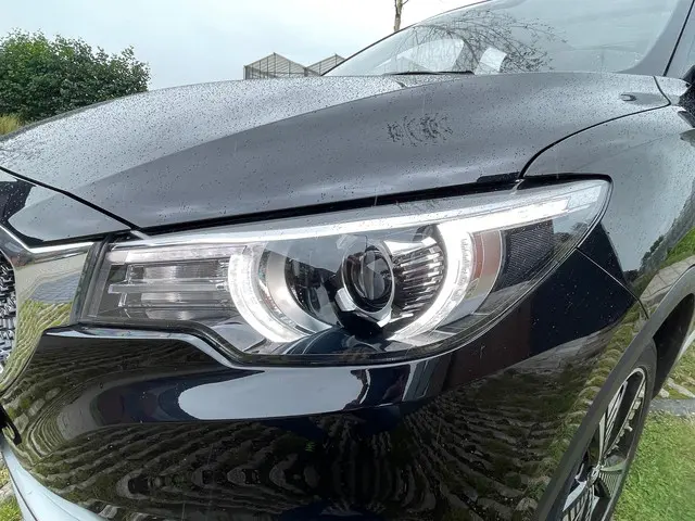 MG ZS EV Luxury 45 kWh |PANO | LEER | PDC | 2020 Elektrisch 7