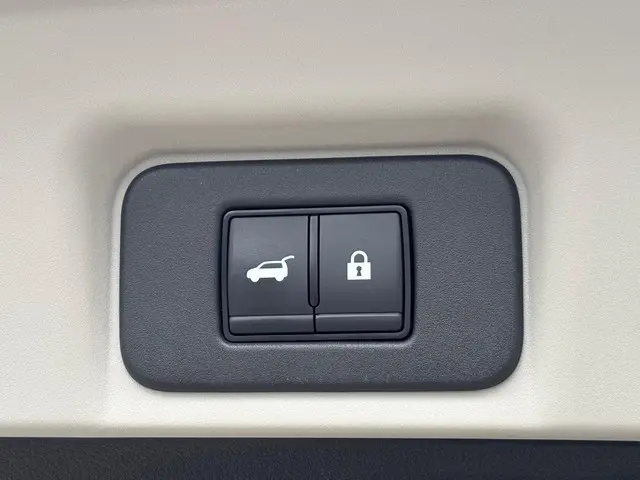 Nissan ARIYA Evolve 87 kWh 2024 Elektrisch 46