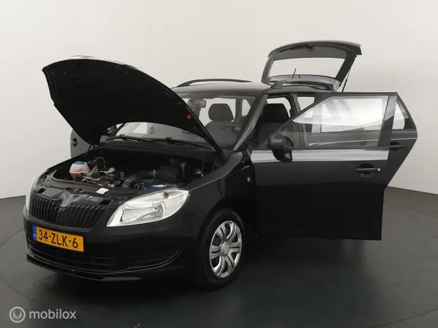 Škoda Fabia Combi 1.2 TSI Arctic 2013 Benzine 15