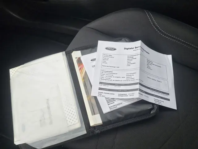 Ford Fiesta 1.25 Airco/Lmv/Stoelverwarming 2013 Benzine 18