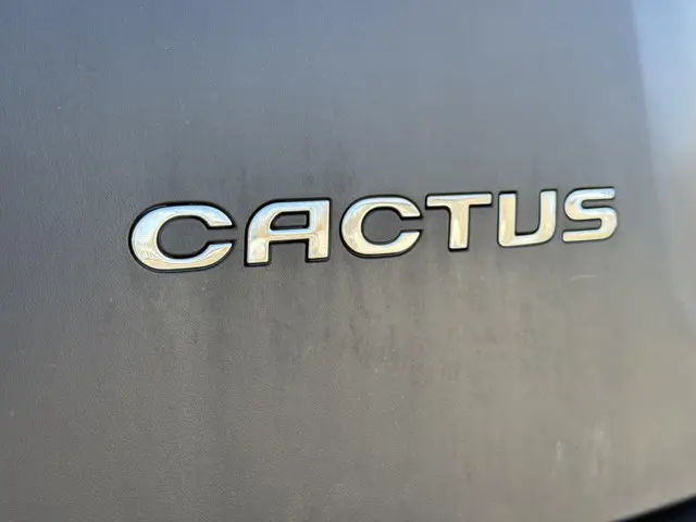 Citroën C4 Cactus 1.2 PureTech Feel 2017 Benzine 29