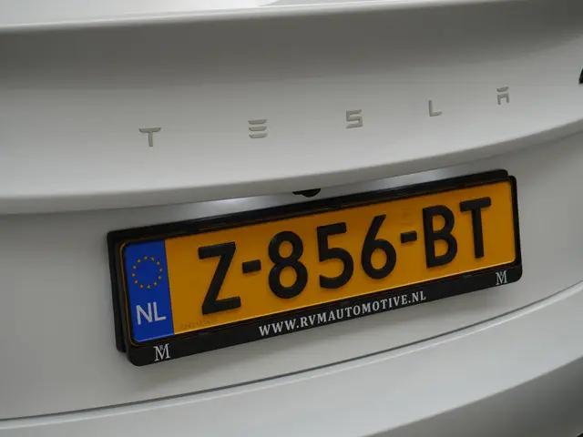 Tesla Model 3 RWD 60 kWh 2024 Elektrisch 10