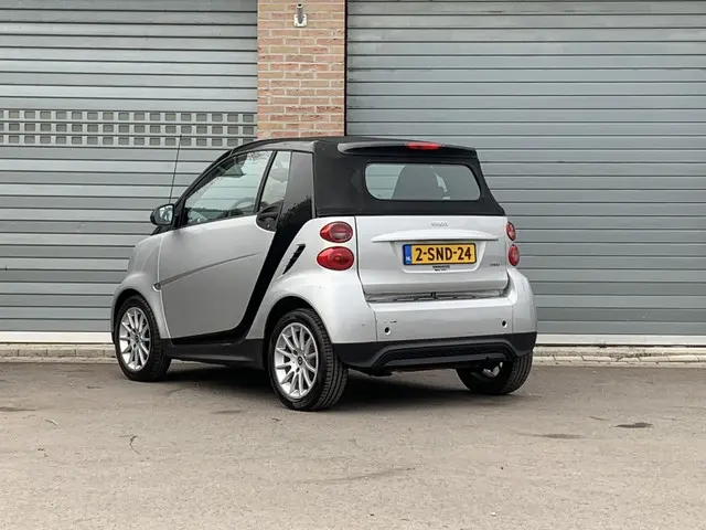 Smart Fortwo cabrio 1.0 mhd Pure 2013 Benzine 7