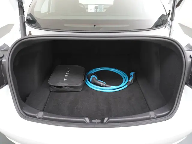 Tesla Model 3 Standard RWD Plus 60 kWh 2021 Elektrisch 11