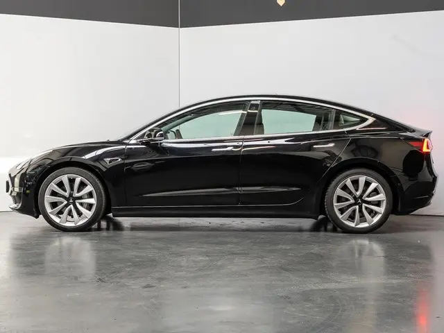Tesla Model 3 Long Range AWD 75 kWh 2019 Elektrisch 2