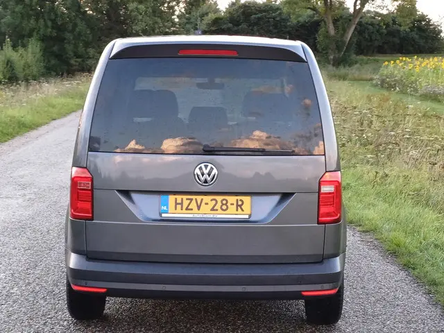 Volkswagen Caddy 1.0 TSI Comfortline 2020 Benzine 7