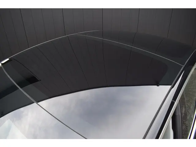 Tesla Model 3 Standard RWD Plus 60kWh 2020 Elektrisch 18