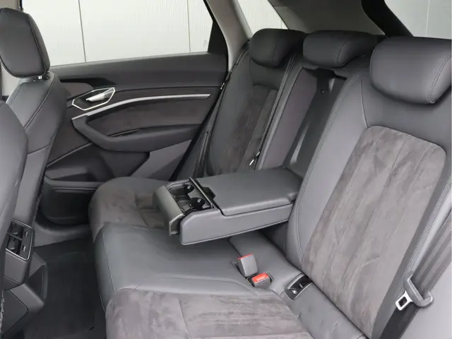 Audi e-tron 50 quattro 71 kWh 2020 Elektrisch 29