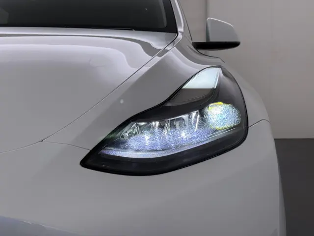 Tesla Model Y Long Range AWD 75 kWh 2022 Elektrisch 15