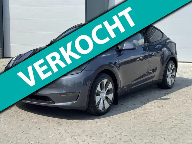 Tesla Model Y Long Range AWD 75 kWh 2021 Elektrisch