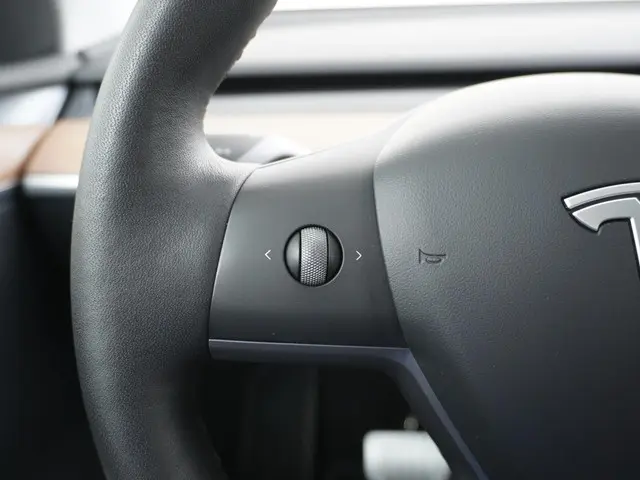 Tesla Model Y Performance AWD 75 kWh 2022 Elektrisch 30