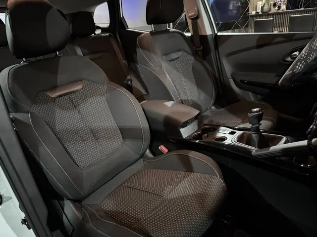 Renault Kadjar | 1.2 TCe Intens | 2017 Benzine 8