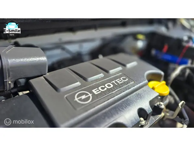 Opel ADAM 1.2 Jam/Airco/Cruise/Bleutooth/APK! 2013 Benzine 20
