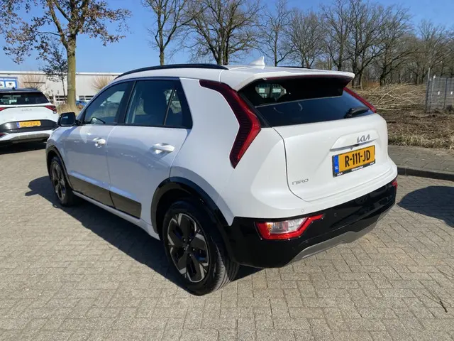 Kia Niro EV DynamicLine 64.8 kWh 2022 Elektrisch 7