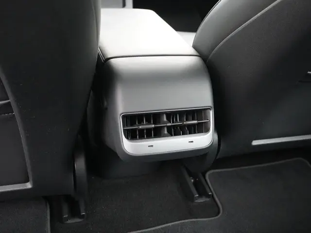 Tesla Model 3 Standard RWD Plus 60 kWh 2021 Elektrisch 23