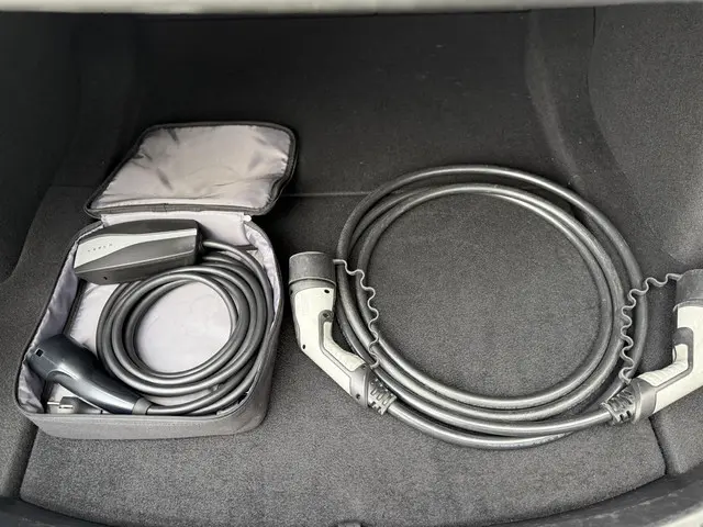 Tesla Model 3 Range Plus 2020 Elektrisch 9