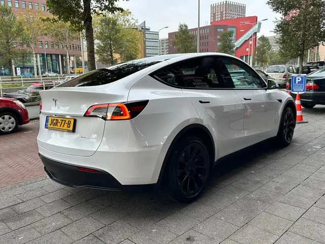 Tesla Model Y 3