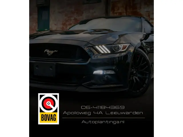 Renault Kadjar 1.2 TCe Intens 2017 Benzine 30