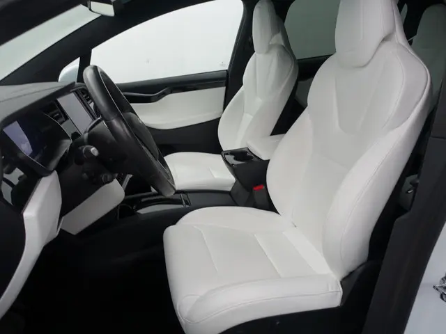 Tesla Model X Long Range Black Pack- 2019 Elektrisch 24