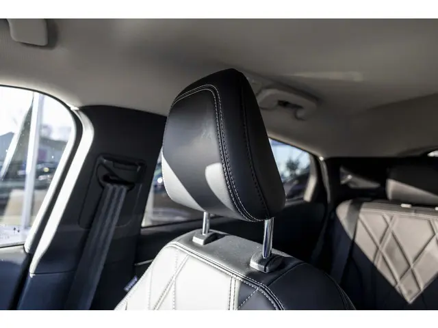 Ford Mustang Mach-E RWD 75 kWh 2021 Elektrisch 12