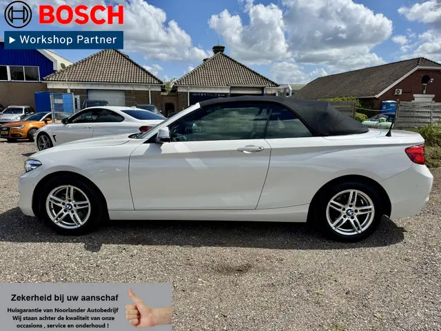 BMW 2 Serie Cabrio 220i Executive 2017 Benzine 13