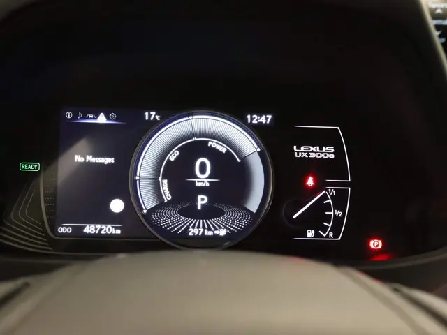 Lexus UX 300e Business 54 kWh 2020 Elektrisch 28
