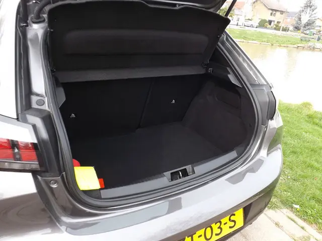 Peugeot 208 1.2 PureTech Like 2021 Benzine 10