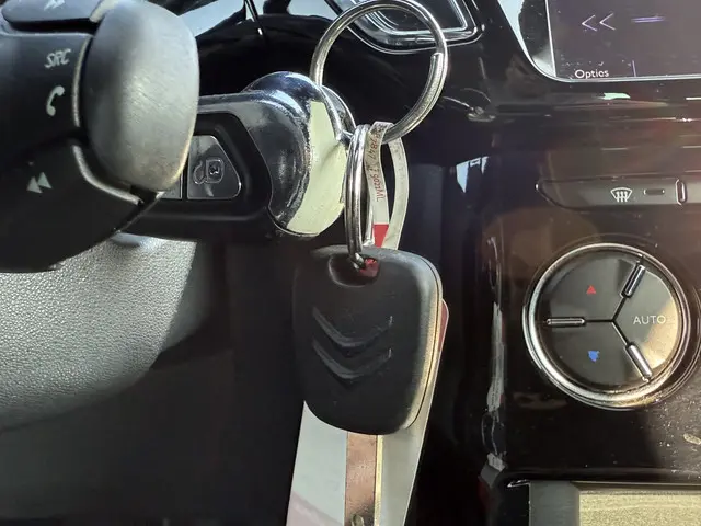 DS DS 3 1.2 PURETECH BUSINESS 2015 Benzine 16