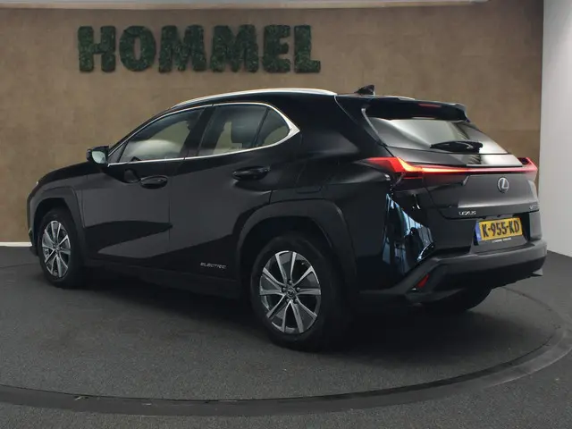 Lexus UX 300e Business 54 kWh 2020 Elektrisch 5