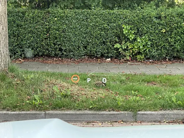 Toyota Land Cruiser 2.8 D-4D President 2025 Diesel 17