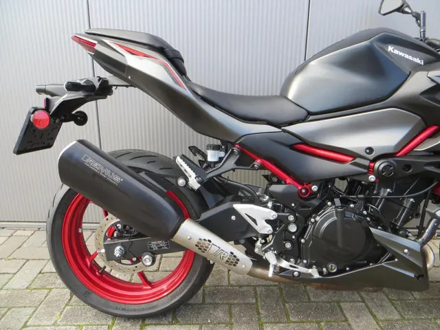 Kawasaki Z500 SE 2024 Benzine 6