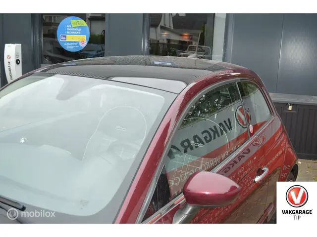 Fiat 500 0.9 TwinAir lounge Society Edition 2015 Benzine 5