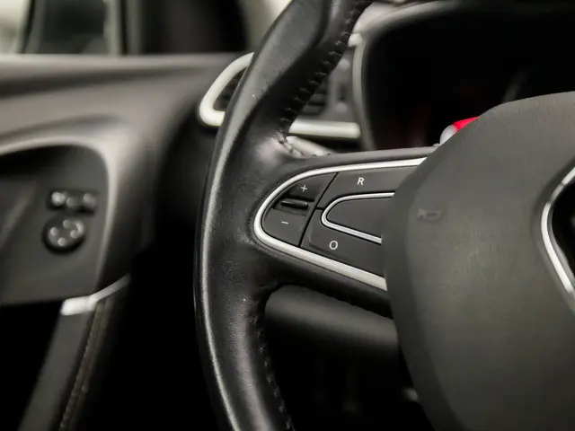 Renault Kadjar 1.2 TCe Intens Sport 2017 Benzine 20