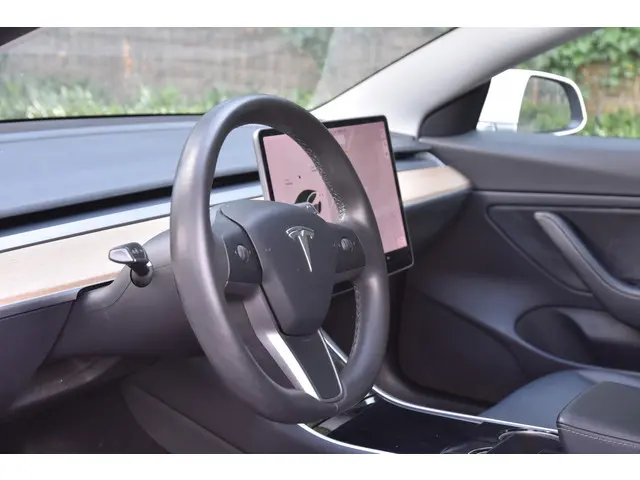 Tesla Model 3 Long Range AWD 75 kWh 2020 Elektrisch 6