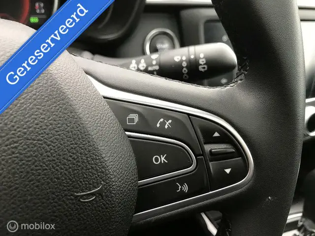 Renault Kadjar 1.3 TCe Limited 2020 Benzine 15