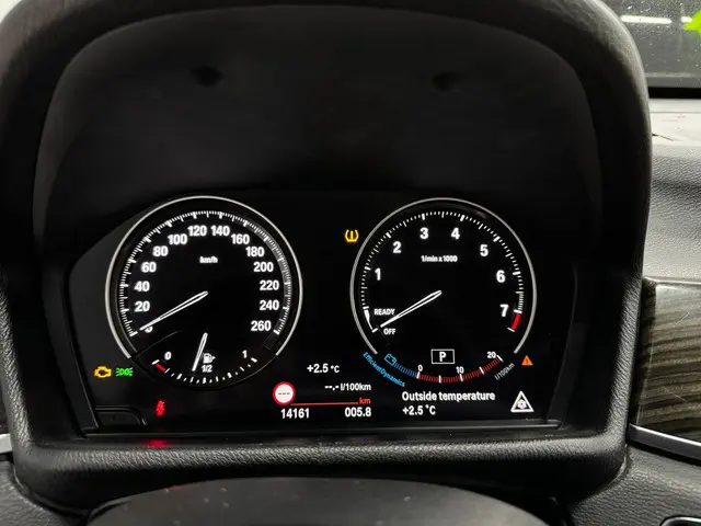 BMW X1 XDrive20i Executive *Export only* 2018 Benzine 17