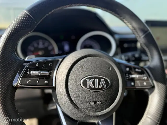 Kia ProCeed 1.4 T-GDI GT-Line AUTOMAAT 2019 Benzine 17
