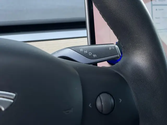 Tesla Model 3 Performance AWD 75 kWh 2019 Elektrisch 16