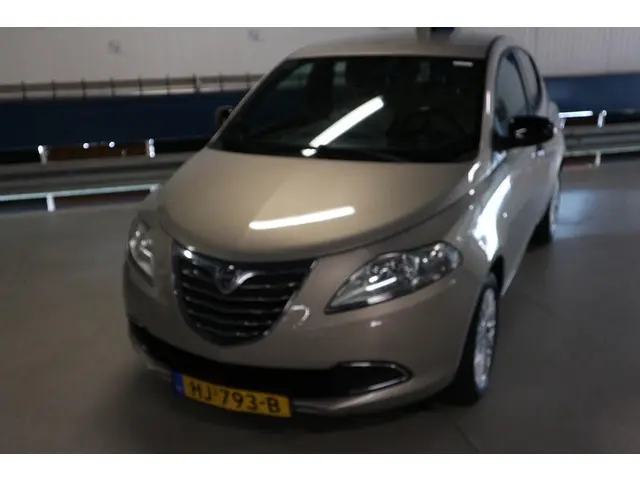 Lancia Ypsilon 1.2 Gold / LEUK MODEL ! ! ! 2014 Benzine 9