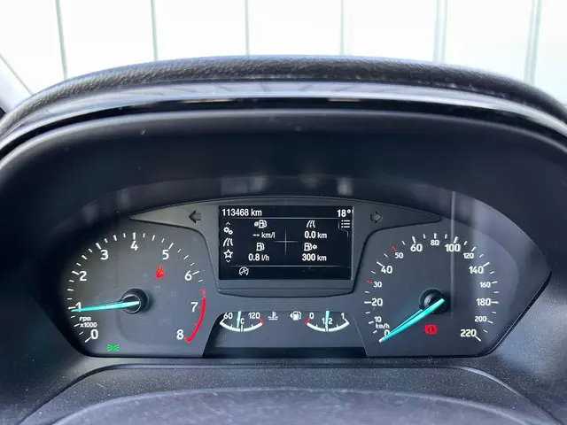 Ford Fiesta 1.1 Trend 2018 Benzine 14
