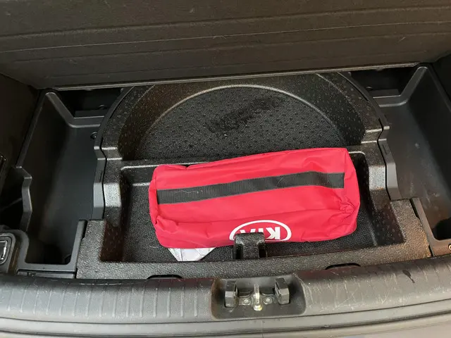 Kia e-Niro ExecutiveLine 64 kWh 2020 Elektrisch 15