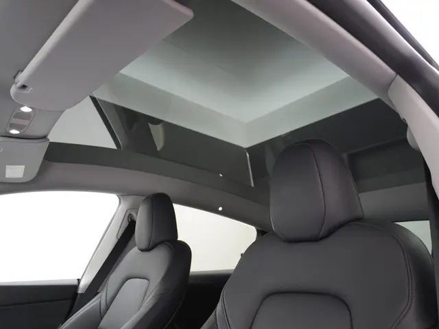 Tesla Model Y Performance AWD 75 kWh 2022 Elektrisch 21
