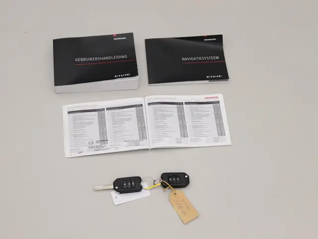 Honda Civic 1.0 i-VTEC Business Edition 2020 Benzine 24