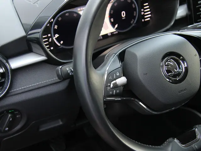 Škoda Fabia 1.0 TSI 110pk Style | Vol opties! 2021 Benzine 31