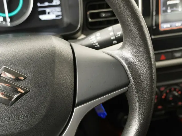 Suzuki Ignis 1.2 Select 2019 Benzine 14