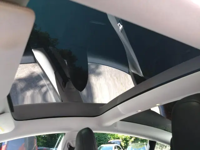 Tesla Model 3 Range Plus 2020 Elektrisch 6