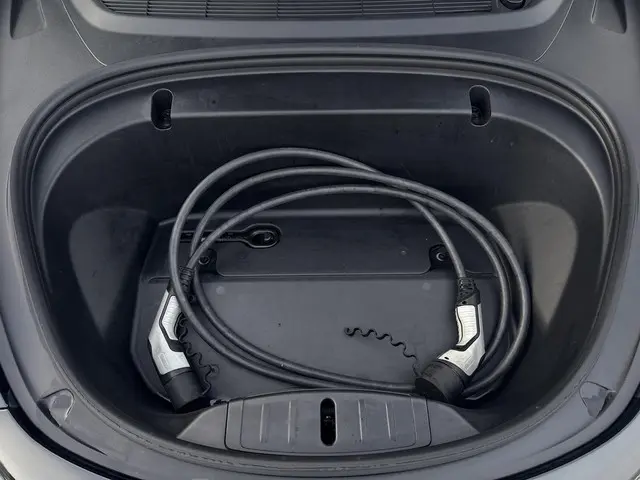 Tesla Model 3 Standard RWD Plus 60 kWh 2020 Elektrisch 32