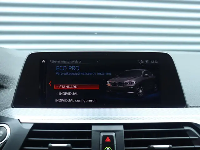 BMW X4 xDrive20i 2020 Benzine 27