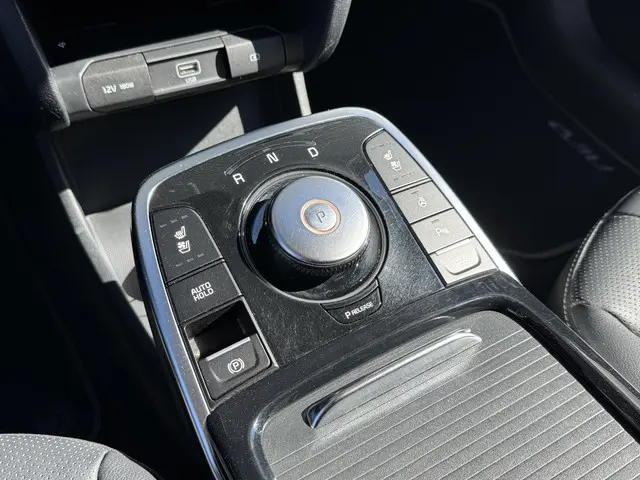 Kia e-Niro EXECUTIVELINE 64 KWH 2020 Elektrisch 19